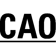 CAO Application Status Checker