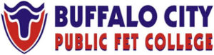 Buffalo City TVET College Vacancies