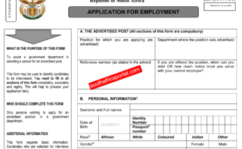 Z83 form pdf download